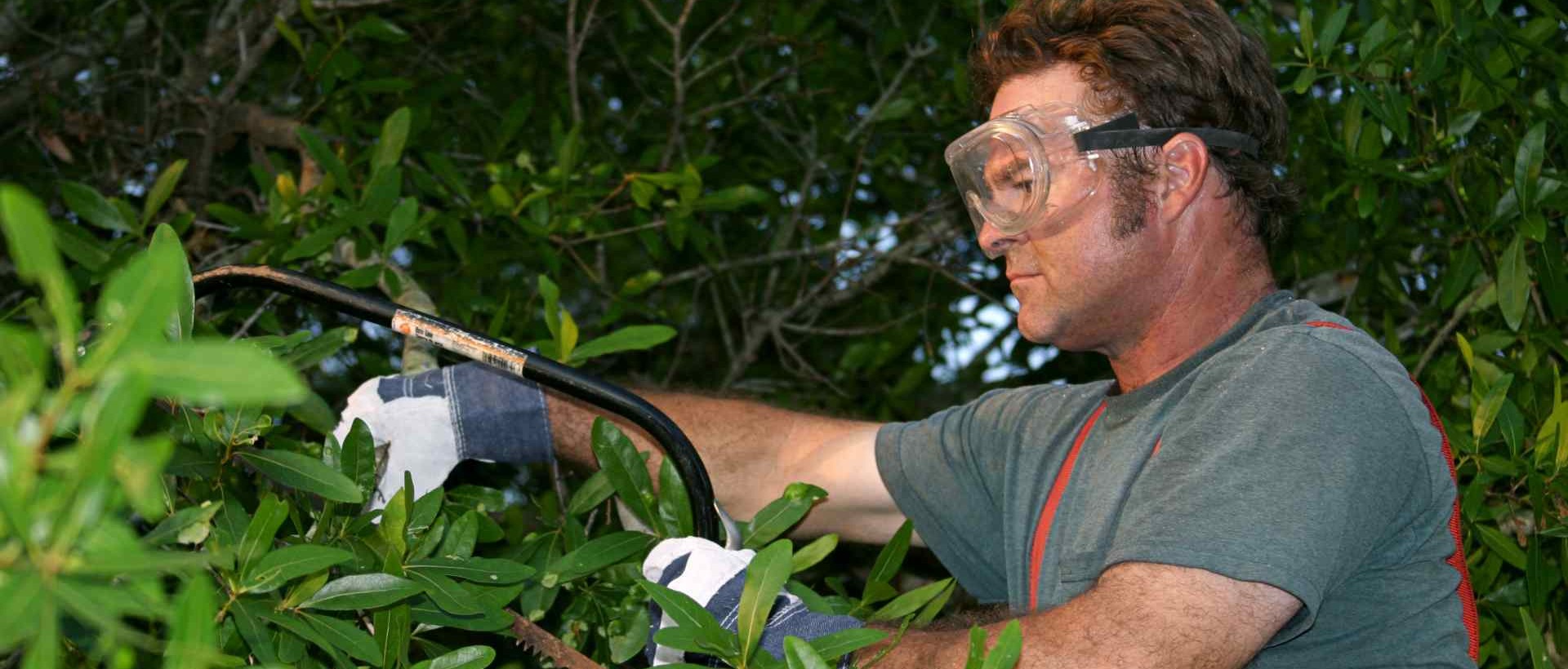 garden clearance KT18