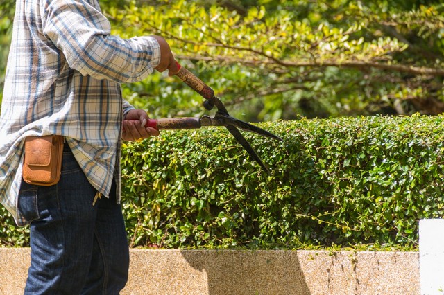 Garden Maintenance Headley, KT18
